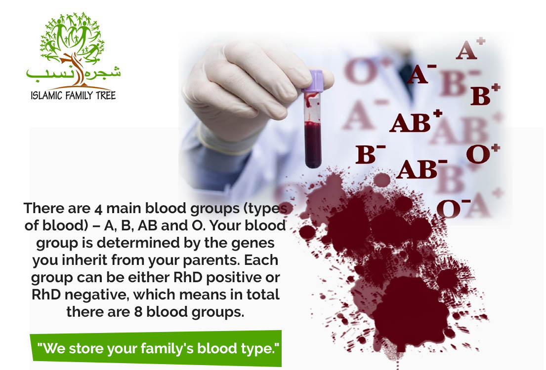 Records Of Individual Blood Type | islamic family tree